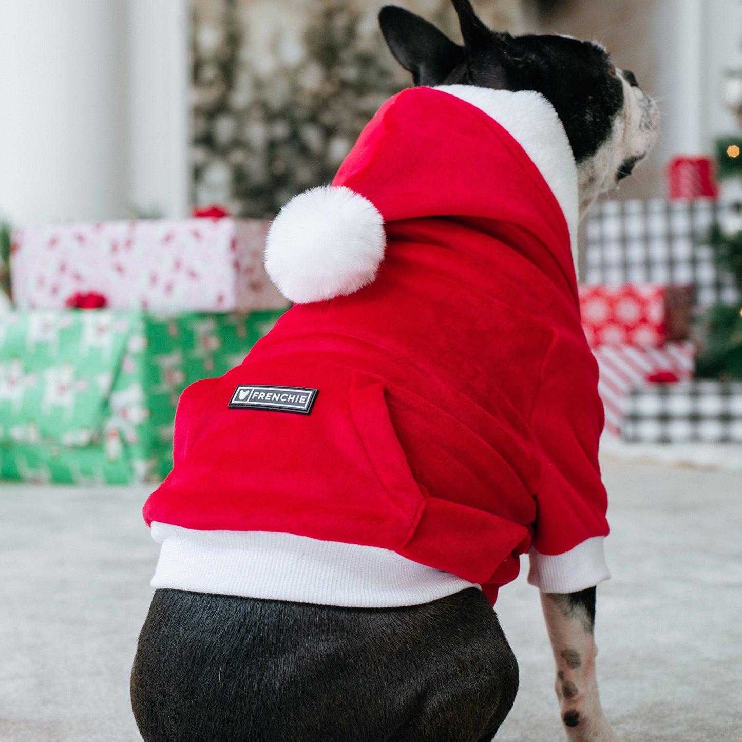 Frenchie Dog Hoodie - Red Santa