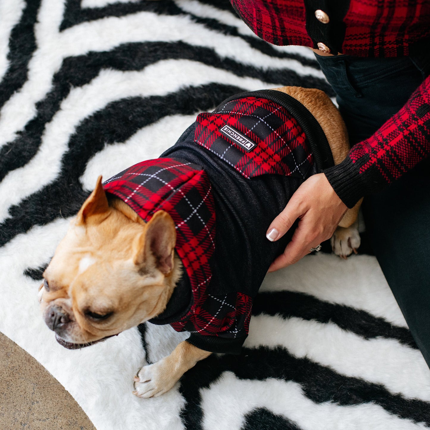 Frenchie Dog Hoodie - Red Tartan