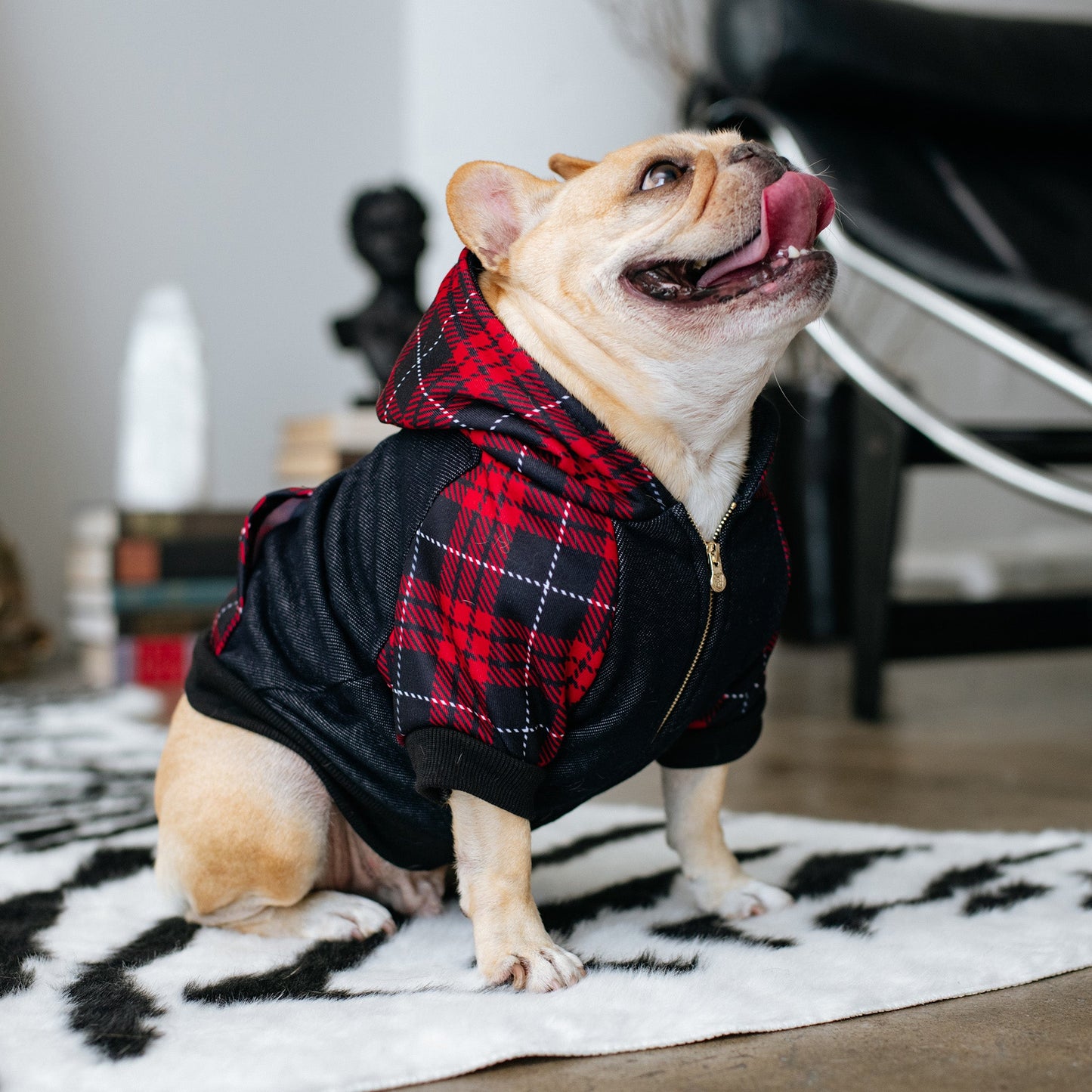 Frenchie Dog Hoodie - Red Tartan