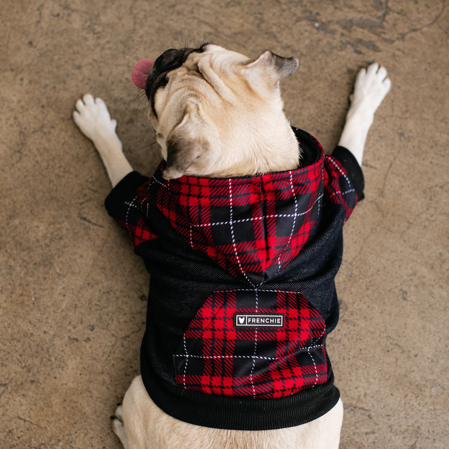 Frenchie Dog Hoodie - Red Tartan