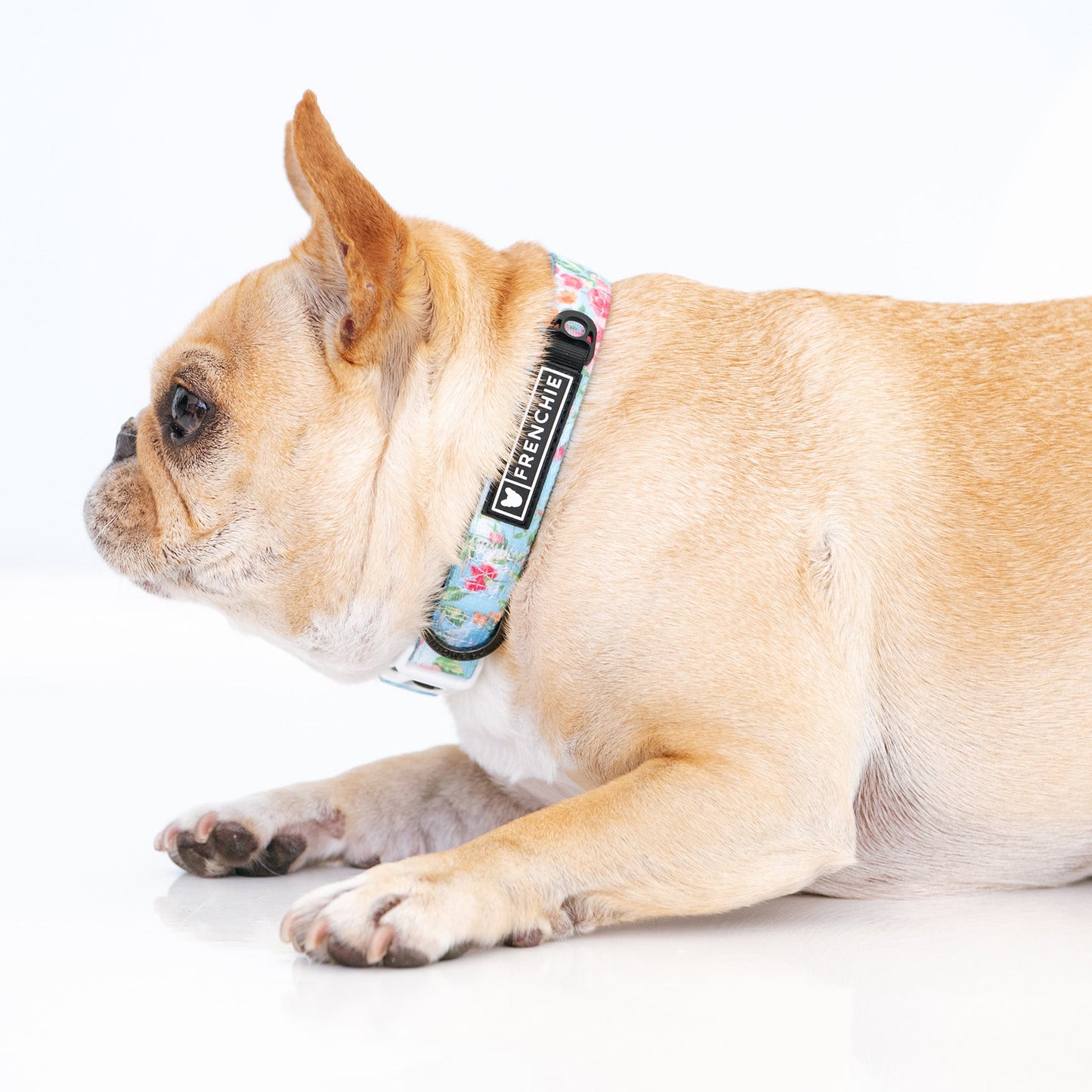 Frenchie Comfort Collar - Secret Garden