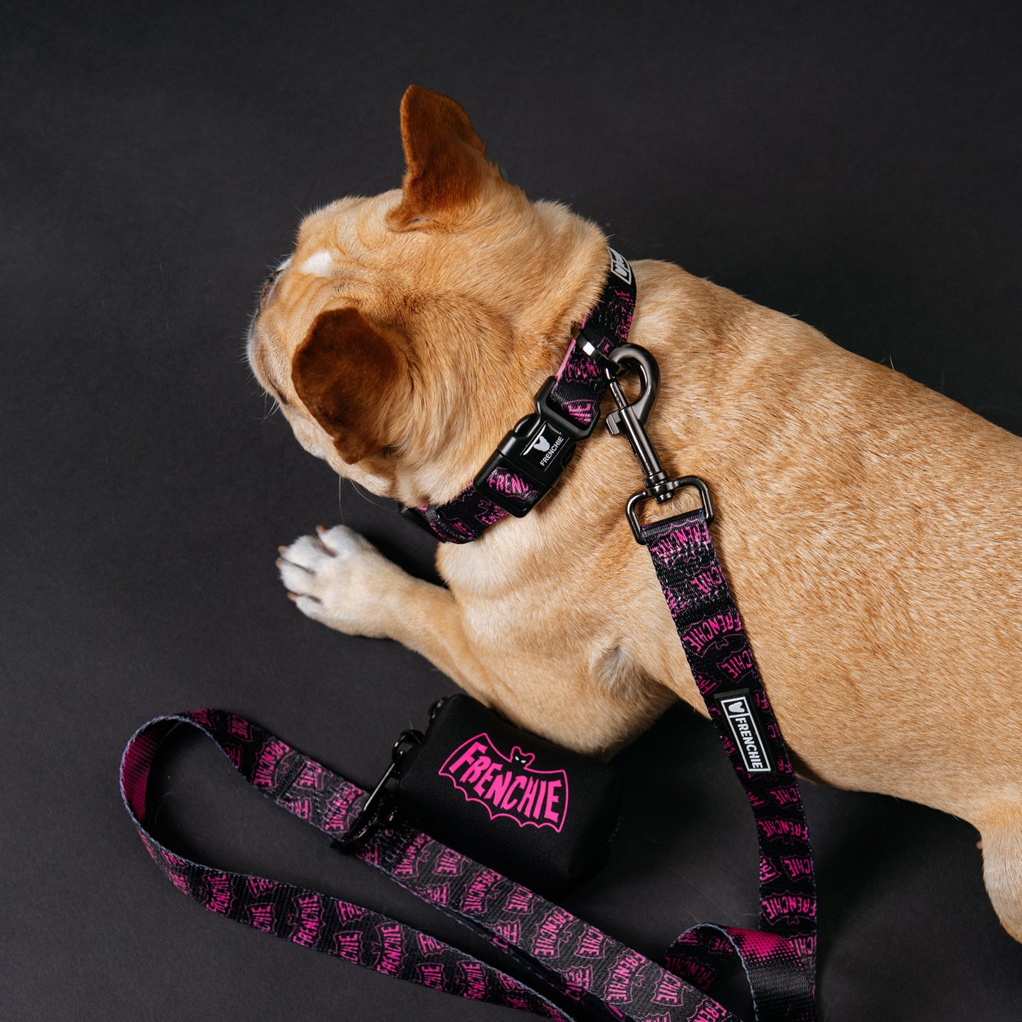 Frenchie Comfort Collar - Super Pig (Pink)