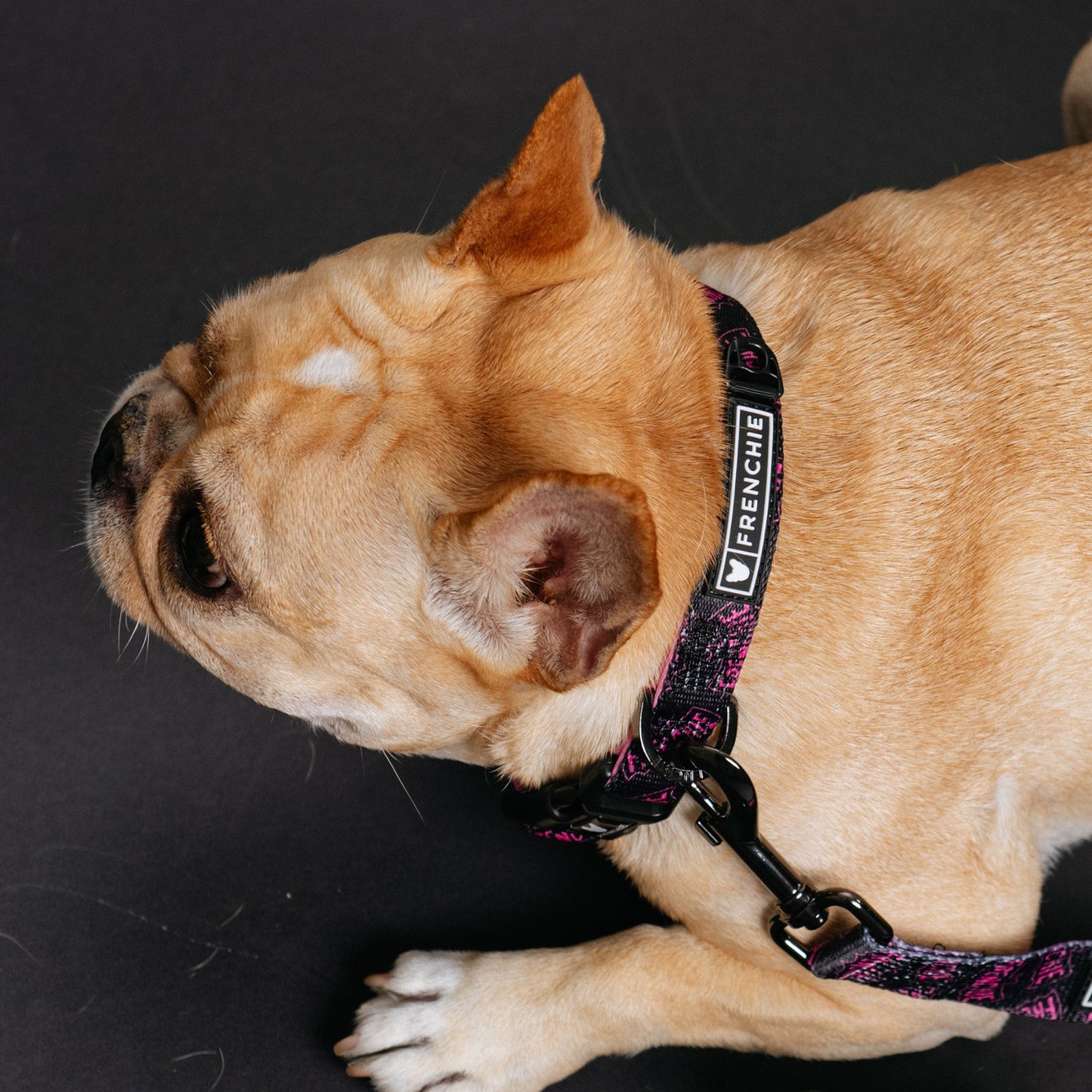 Frenchie Comfort Collar - Super Pig (Pink)