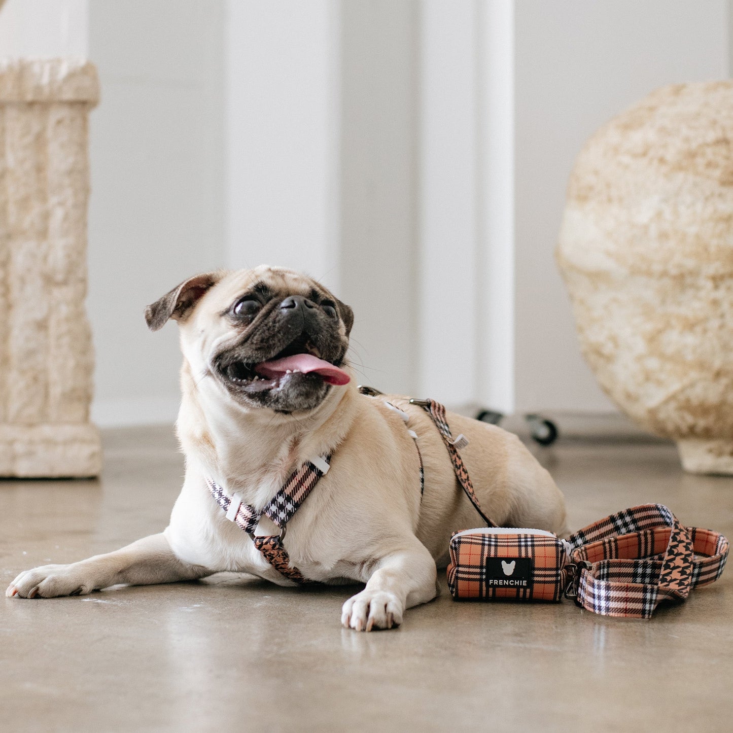 Frenchie Strap Harness - Tan Tartan