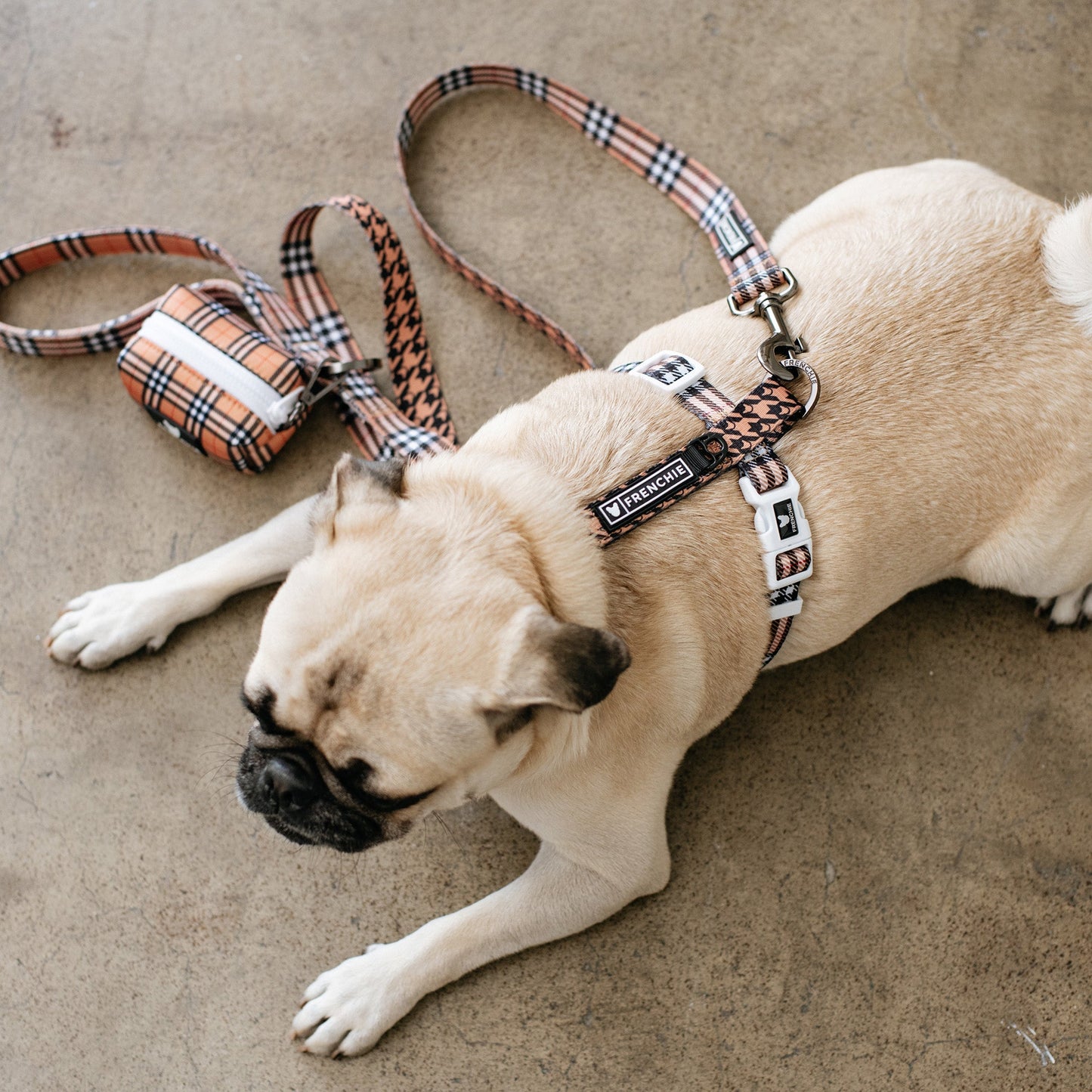 Frenchie Strap Harness - Tan Tartan