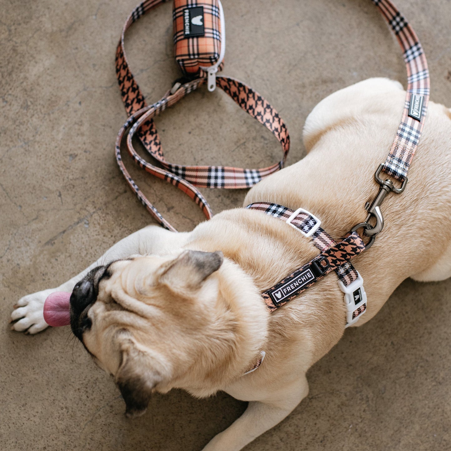 Frenchie Strap Harness - Tan Tartan