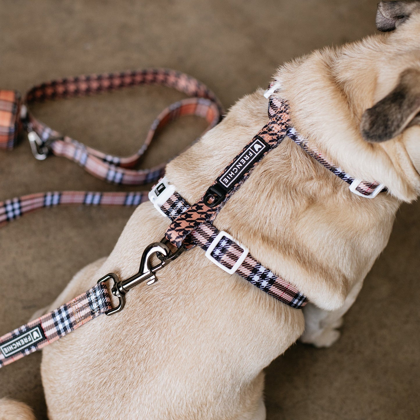 Frenchie Strap Harness - Tan Tartan