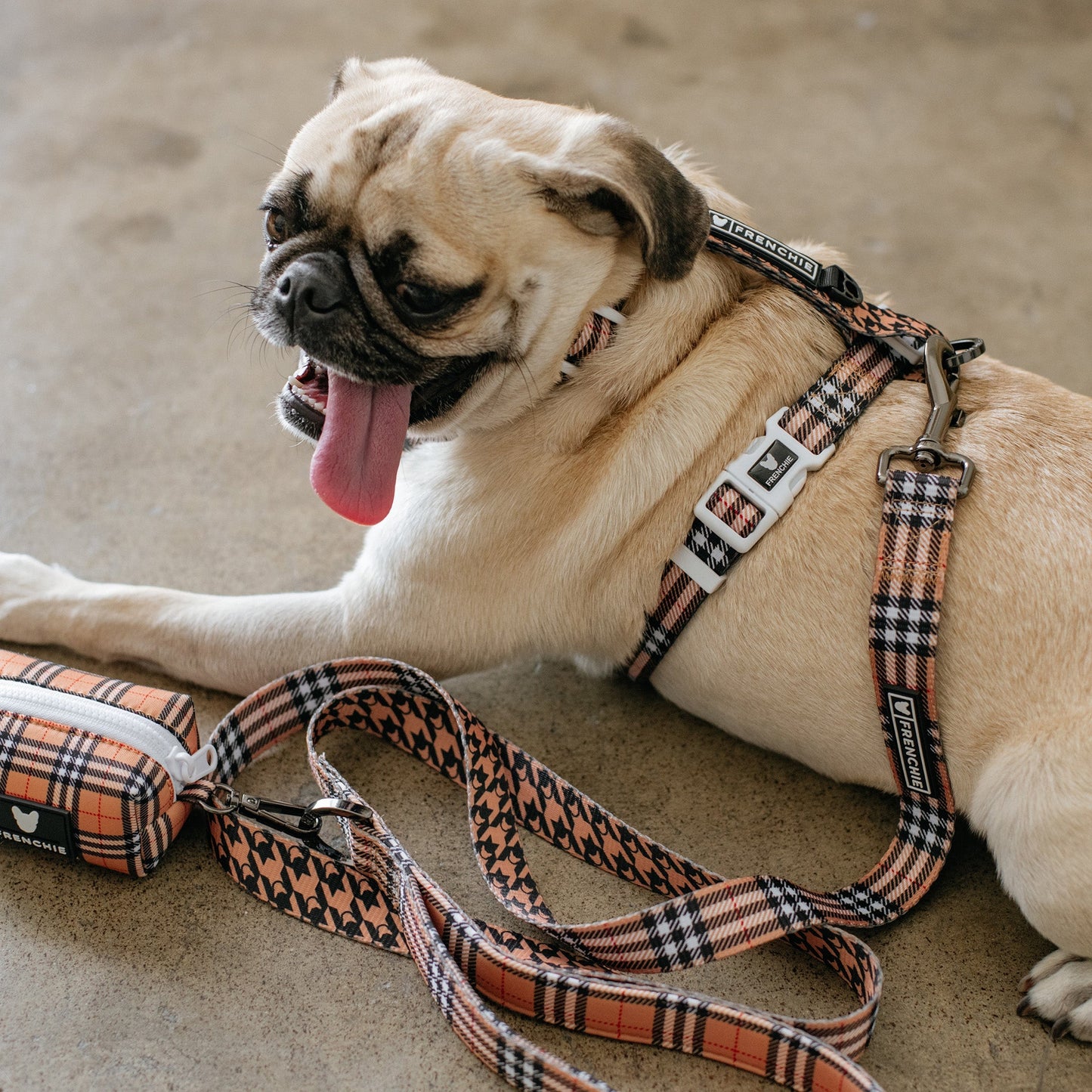 Frenchie Strap Harness - Tan Tartan