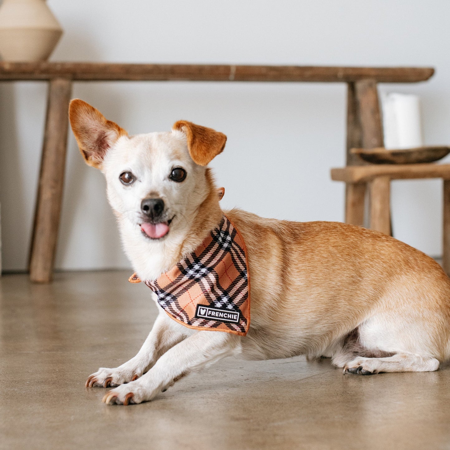 Frenchie Cooling Bandana - Tan Tartan