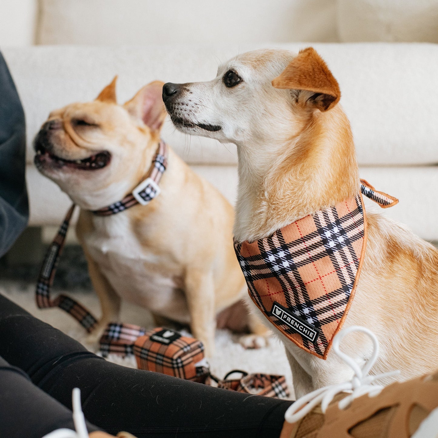 Frenchie Cooling Bandana - Tan Tartan