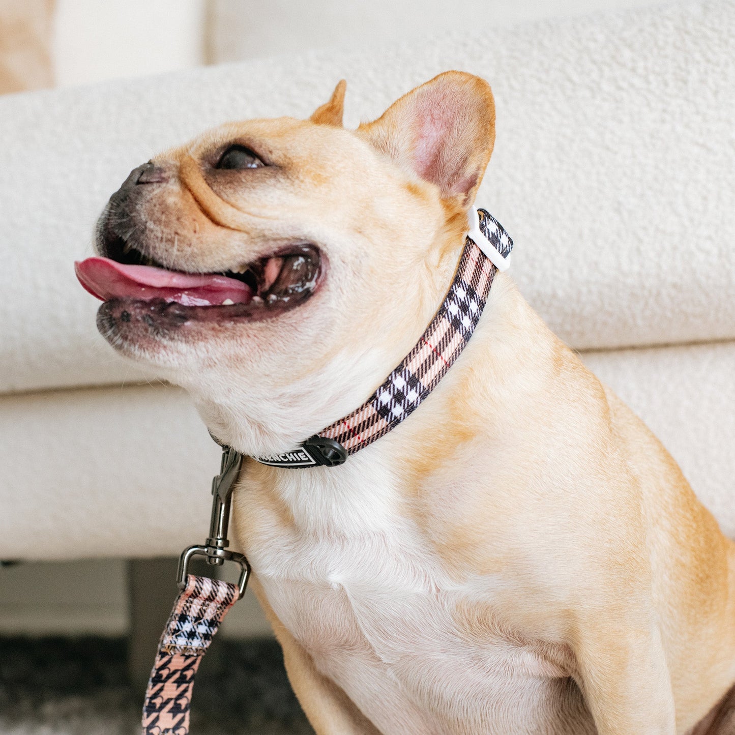 Frenchie Comfort Collar - Tan Tartan