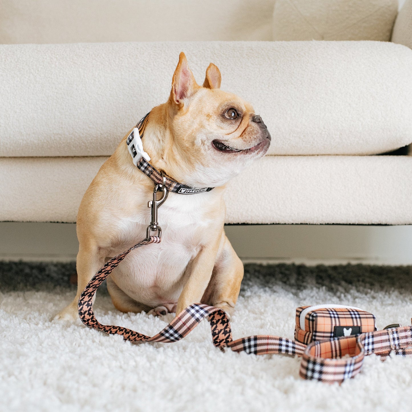 Frenchie Comfort Collar - Tan Tartan