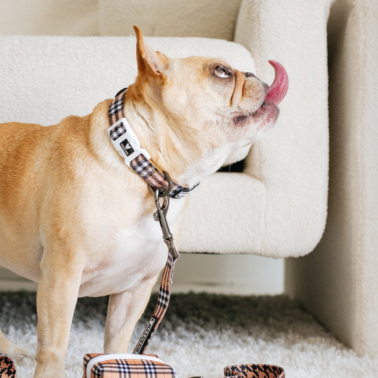 Frenchie Comfort Collar - Tan Tartan