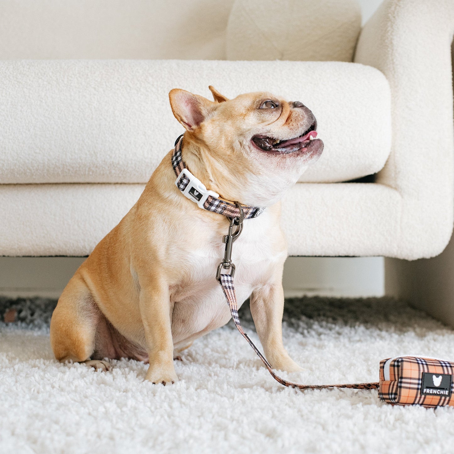 Frenchie Comfort Collar - Tan Tartan