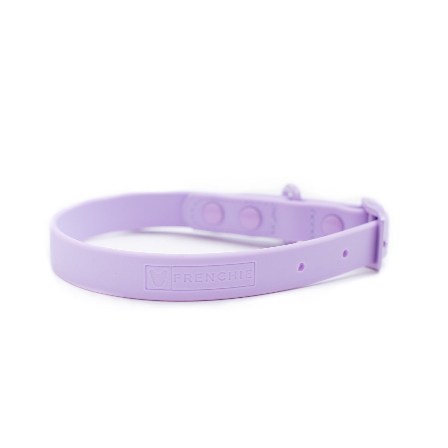 Frenchie Waterproof Collar - Violet