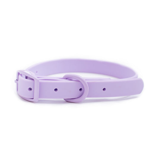 Frenchie Waterproof Collar - Violet