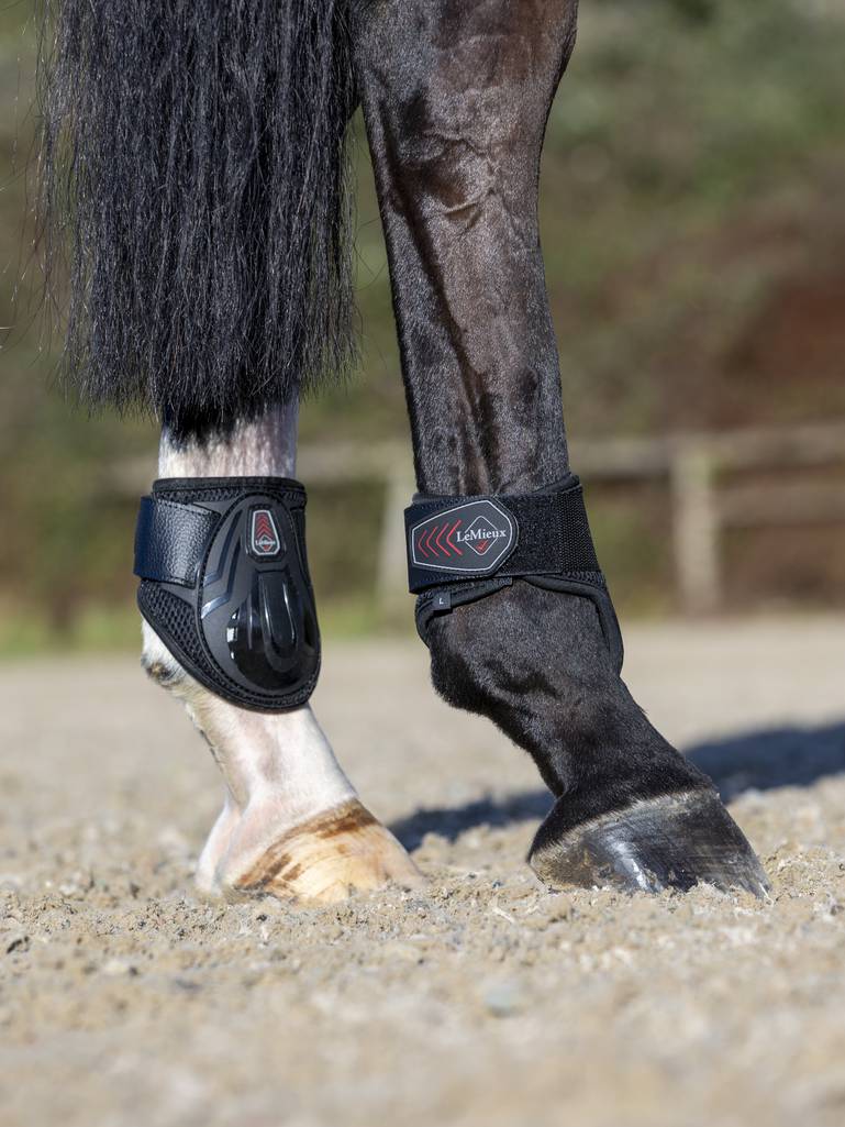 LeMieux Derby Projump Fetlock Boot Black