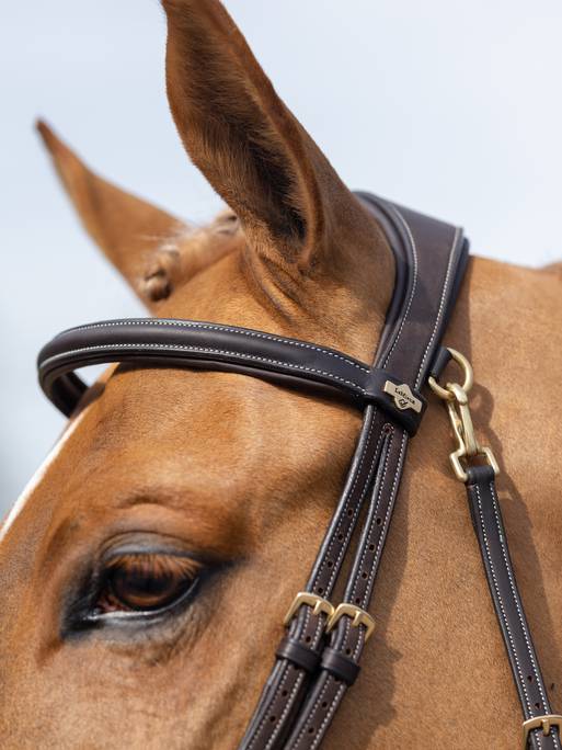 LeMieux Work Bridle