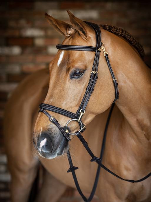 LeMieux Work Bridle