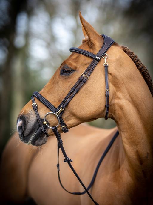 LeMieux Work Bridle