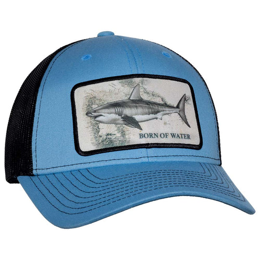 Great White Shark Patch Hat