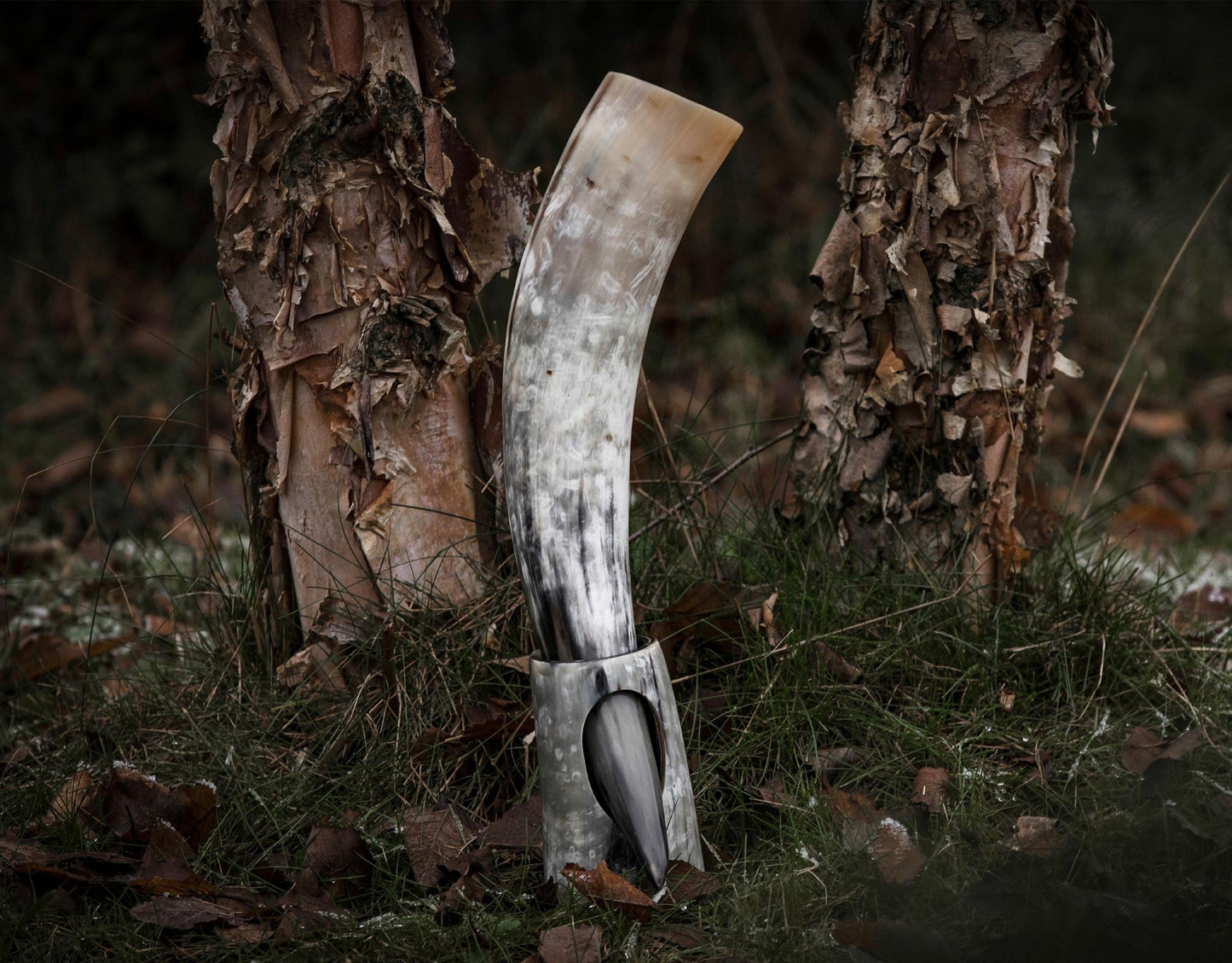 Curved Drinking Horn Bundle with Stand & Holster