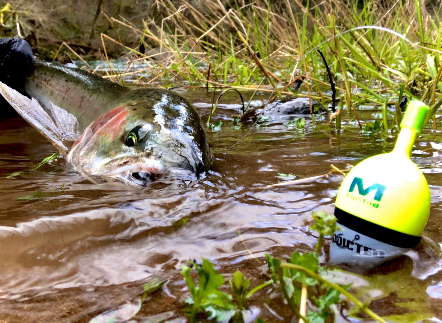 Addicted Steelhead Float System Chartreuse