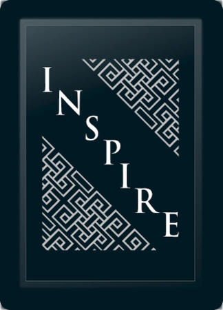 Inspire Deco Diagonal Silver Logo Panel