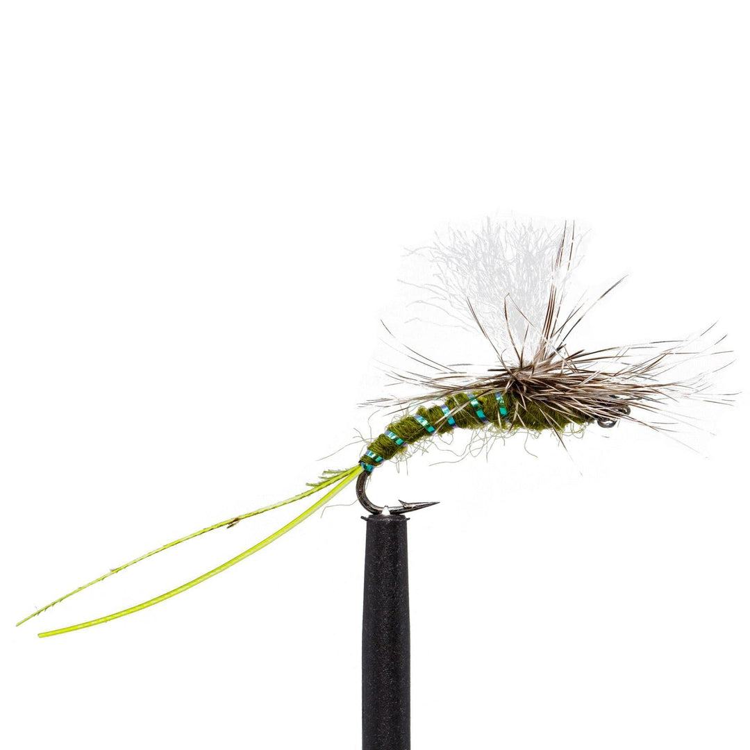 JHFLYCO Loaded Foam Fly Box - Standard Dry Fly