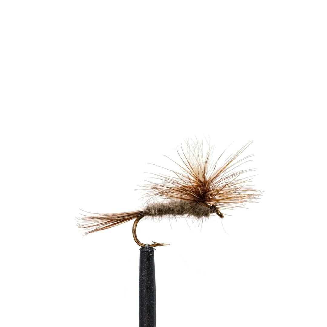 JHFLYCO Loaded Foam Fly Box - Standard Dry Fly