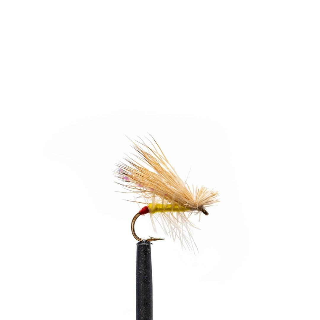 JHFLYCO Loaded Foam Fly Box - Standard Dry Fly