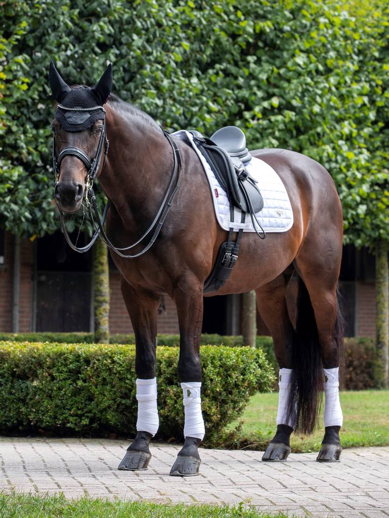 LeMieux Loire Classic Dressage Square White