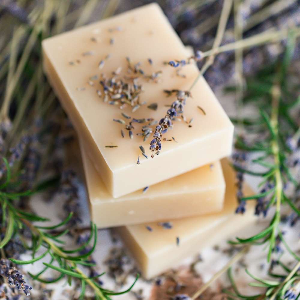 Shampoo Bar: Rosemary Lavender