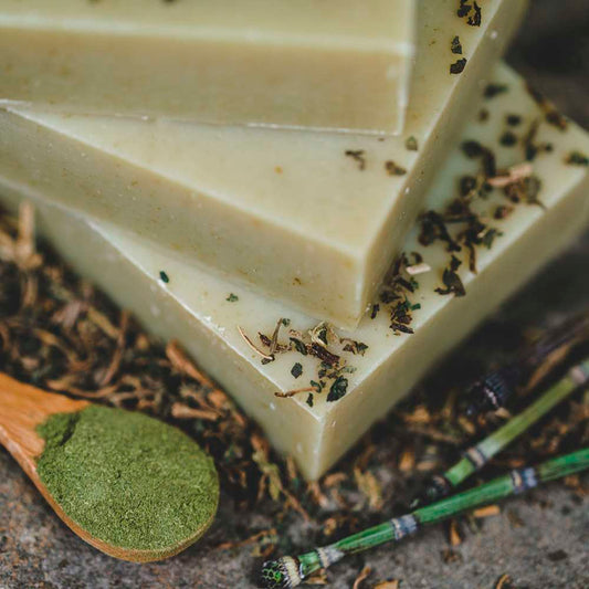 Shampoo Bar: Nettle