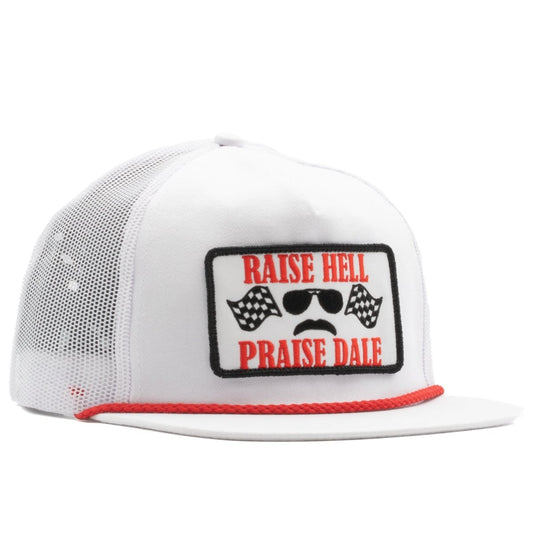 Raise Hell Praise Dale