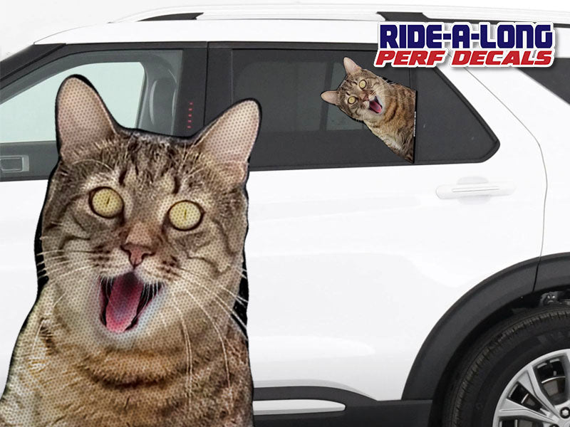 Screaming Cat *RIDE A LONG* Perforated Decal