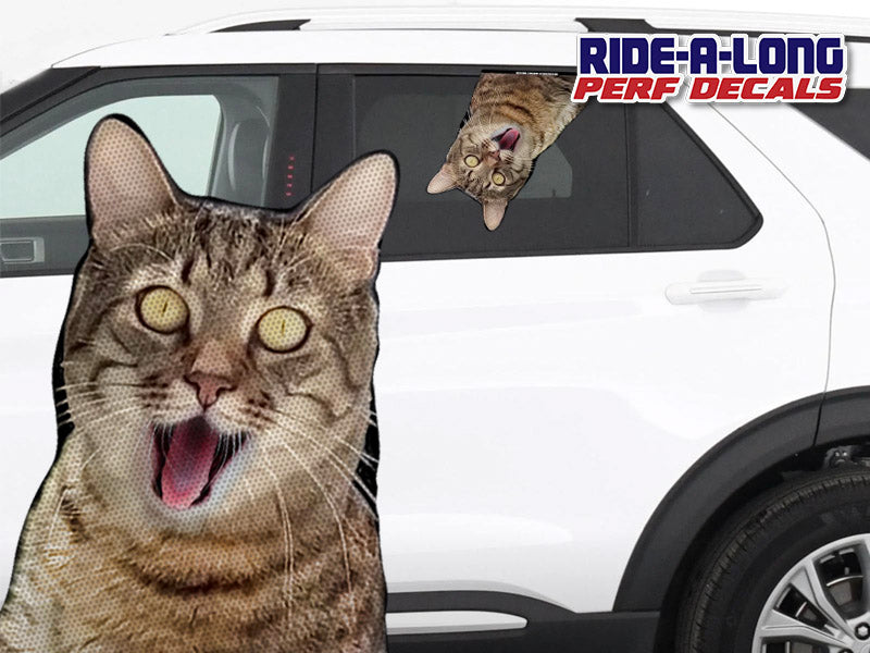 Screaming Cat *RIDE A LONG* Perforated Decal