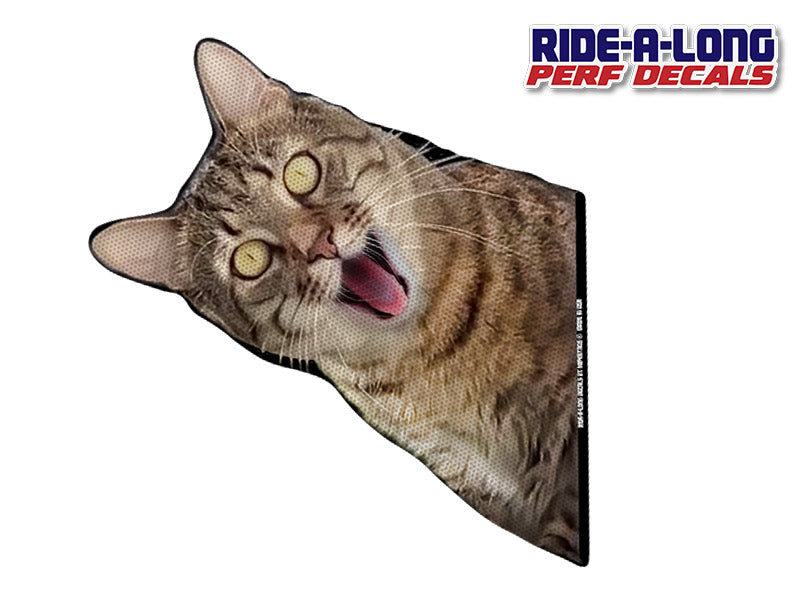 Screaming Cat *RIDE A LONG* Perforated Decal