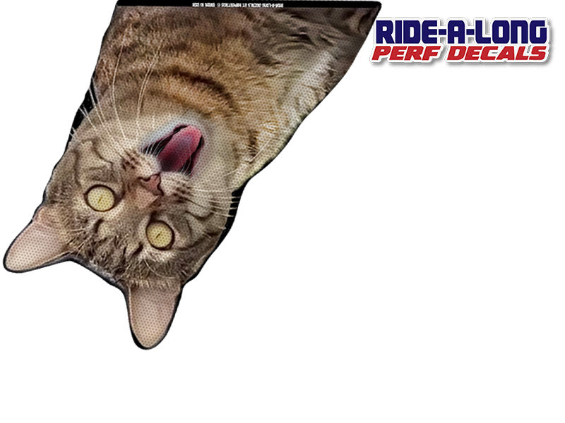 Screaming Cat *RIDE A LONG* Perforated Decal