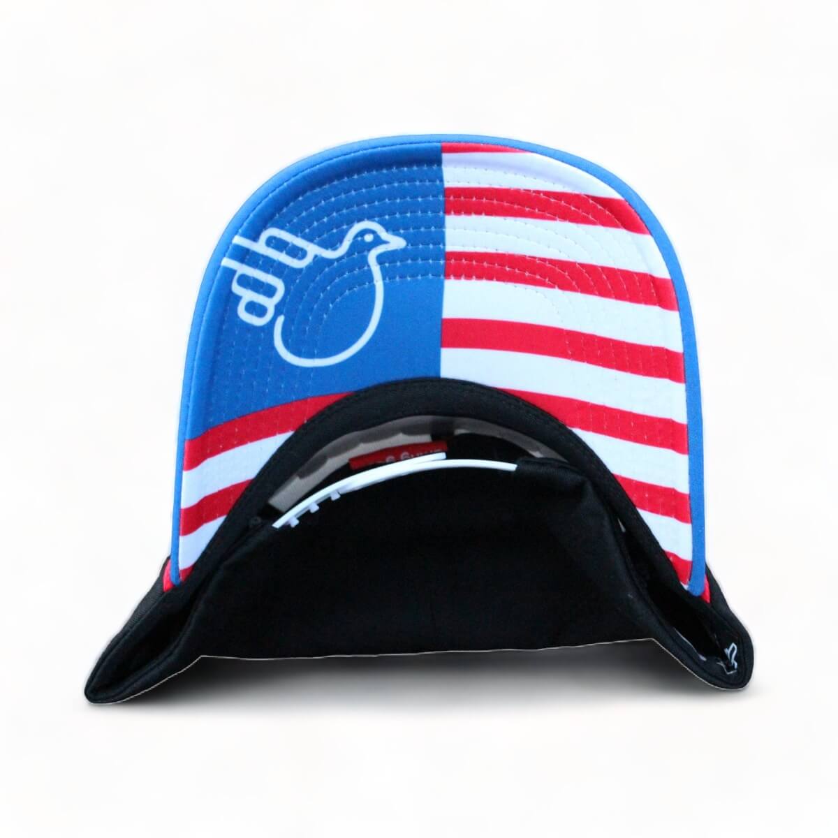 The Anthem American Flag Snapback Hat