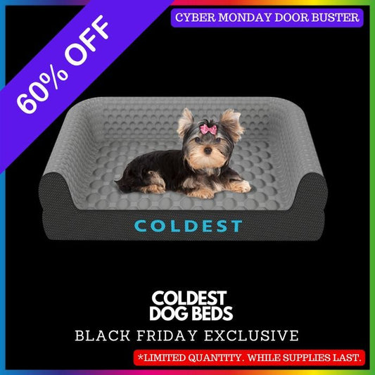 The Coldest Cozy Dog Bed