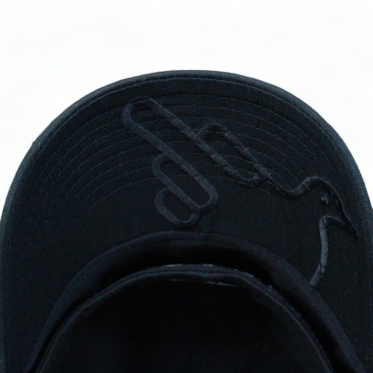 The James Fitted Graphic Hat