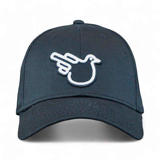 The James Fitted Graphic Hat