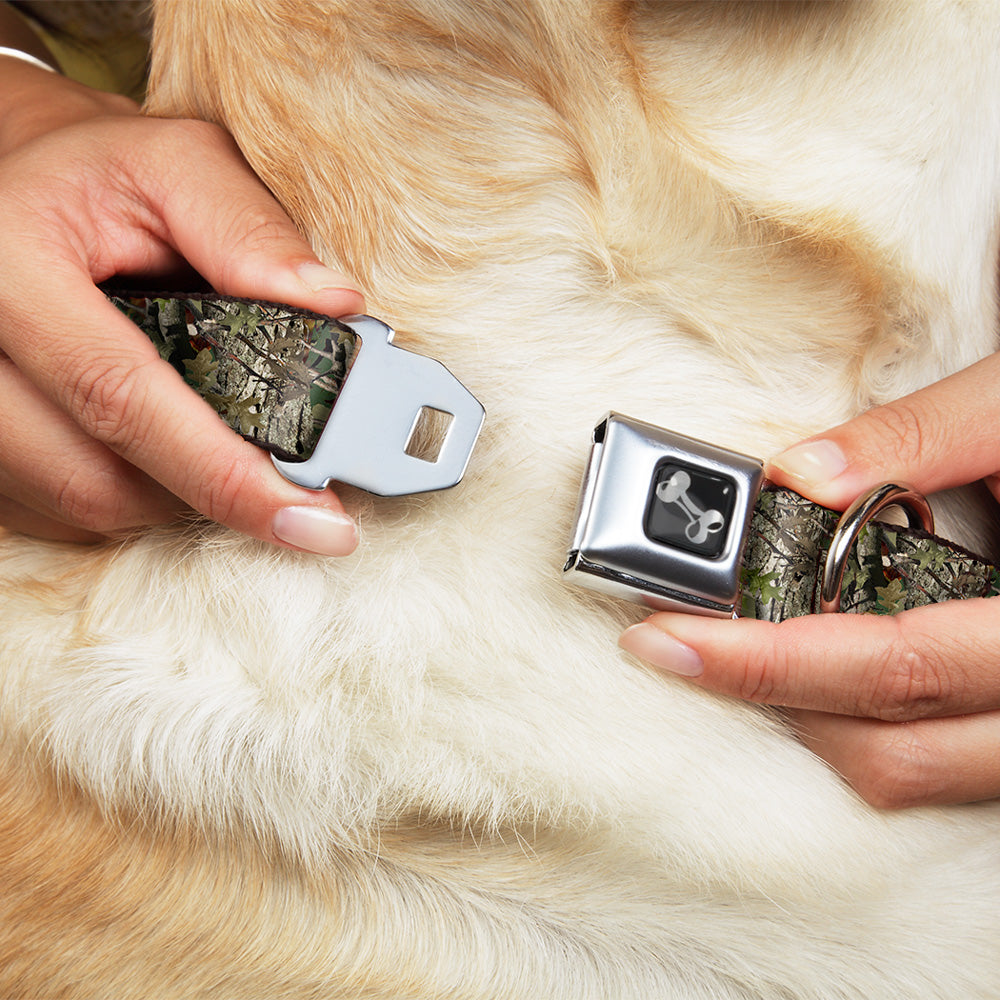 Dog Bone Seatbelt Buckle Collar - Hunting Camo